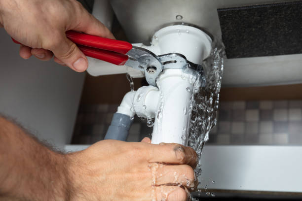 Best Water damage restoration near me  in Dutch Island, GA