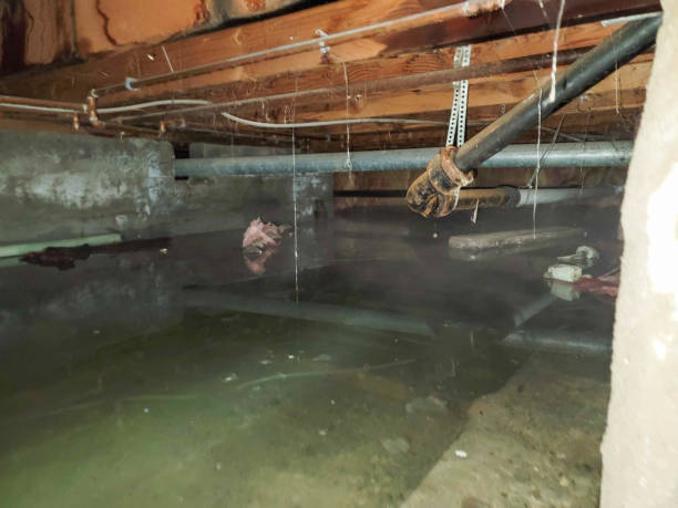 Best Sewage cleanup and water damage restoration  in Dutch Island, GA