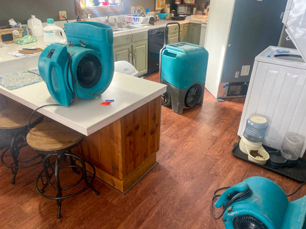 Best Professional water damage repair  in Dutch Island, GA
