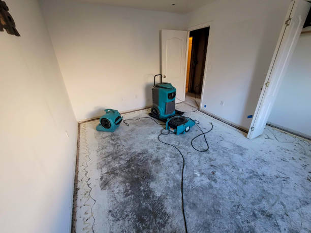 Best Emergency water damage restoration  in Dutch Island, GA