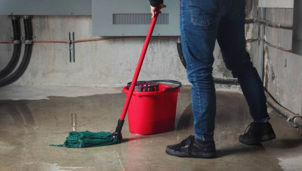 Best Flood damage cleanup  in Dutch Island, GA