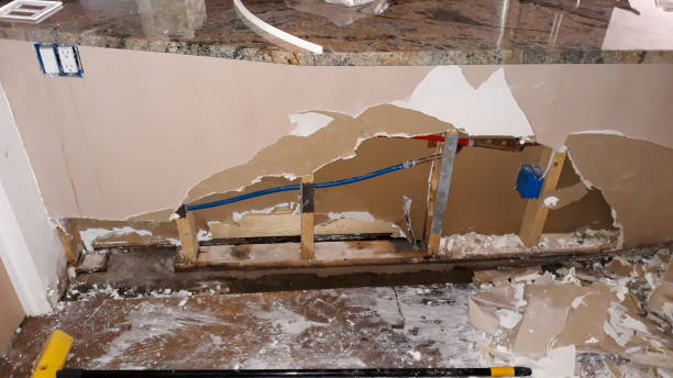 Best Local water damage restoration  in Dutch Island, GA