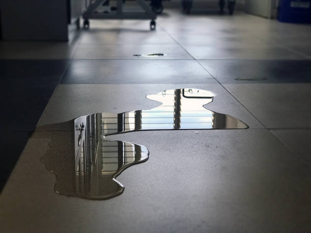 Best Commercial water damage restoration  in Dutch Island, GA