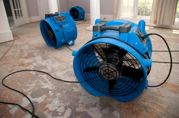Best Water damage contractors near me  in Dutch Island, GA