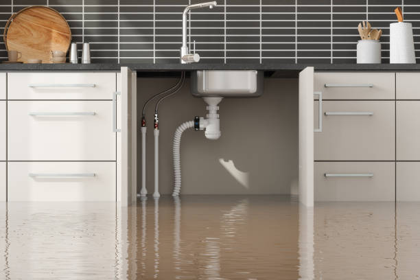 Best 24/7 water damage repair  in Dutch Island, GA