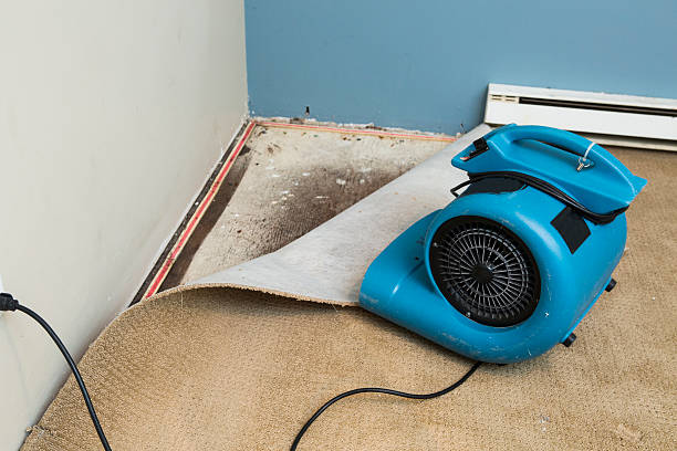 Best Basement water damage restoration  in Dutch Island, GA